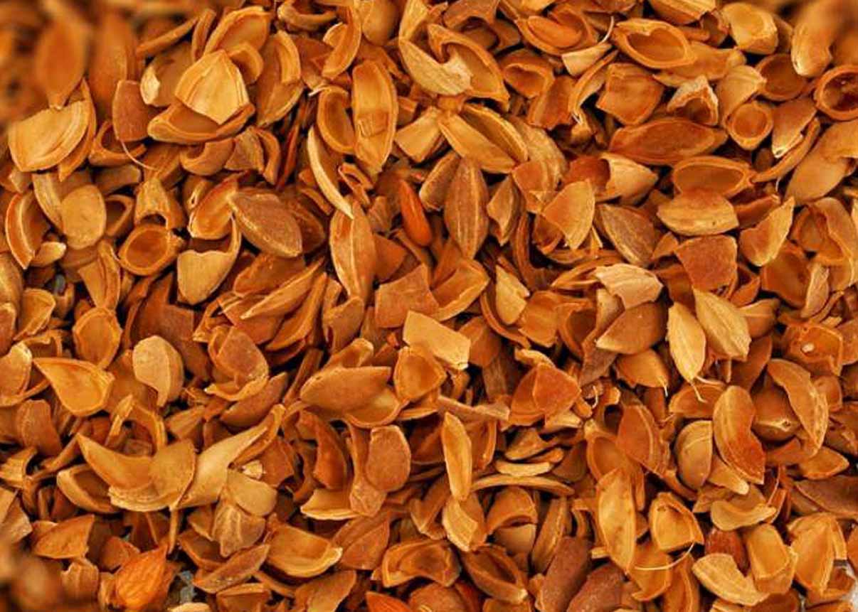 Apricot Kernel Shells